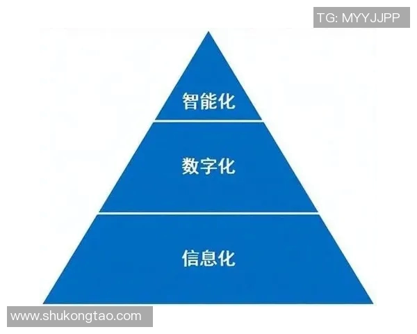 成都羽毛球队转型之路的挑战与机遇全景解析 成都羽毛球队转型之路的挑战与机遇全景解析