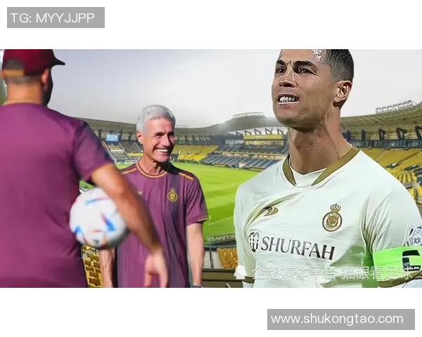 杭州排球队灵活性引发热议球迷与专家各执己见探讨战术变化