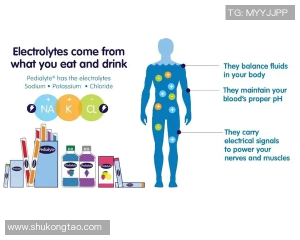 科学篮球力量训练方法全面解析助你提升竞技水平与运动表现