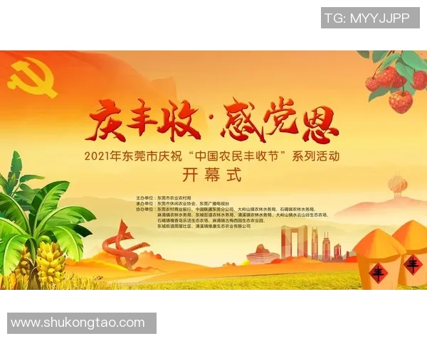 宁夏2017足球明星赛精彩回顾与球星风采展示活动盛况揭秘