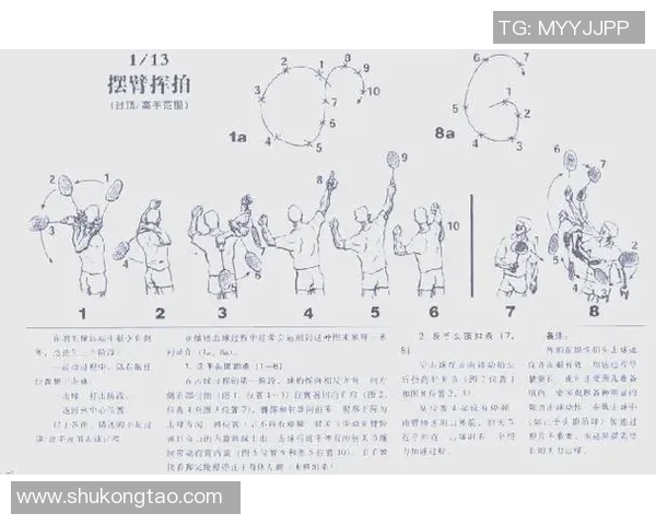 羽毛球技艺探秘：深入解析北京羽毛球队的进攻战术与策略