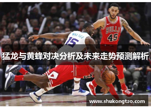 猛龙与黄蜂对决分析及未来走势预测解析