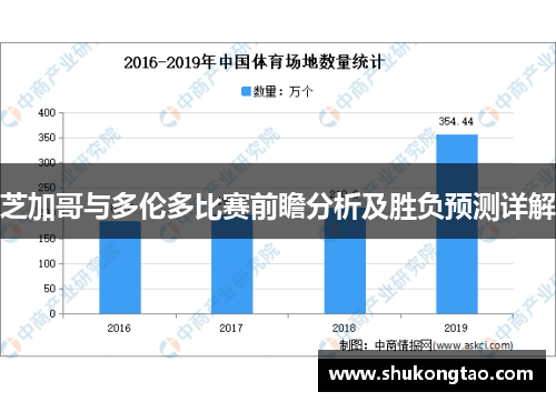 芝加哥与多伦多比赛前瞻分析及胜负预测详解